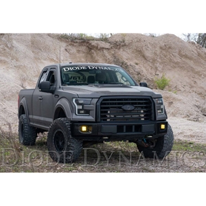 Diode Dynamics SS3 LED Type F2 Fog Light Kit for 2015-2020 Ford F150 White SAE/DOT Driving Sport